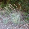 Img.VTax4205.Ex3.Img9