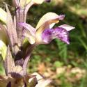 Img.VTax4226.Ex2.Img3