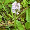 Img.VTax4252.Ex1.Img5