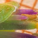Img.VTax4399.Ex1.Img3