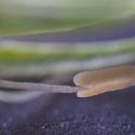 Img.VTax4469.Ex1.Img3