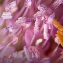 Img.VTax4472.Ex1.Img7