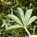 Img.VTax457.Ex1.Img6