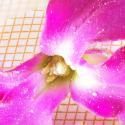 Img.VTax4593.Ex1.Img2