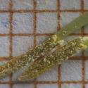 Img.VTax4594.Ex1.Img6