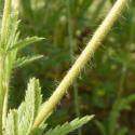 Img.VTax460.Ex1.Img6