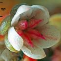 Img.VTax4705.Ex1.Img1