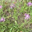 Img.VTax4766.Ex5.Img3