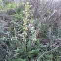 Img.VTax4766.Ex8.Img5