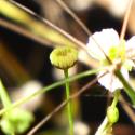 Img.VTax4767.Ex8.Img8