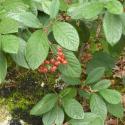 Img.VTax4768.Ex2.Img3