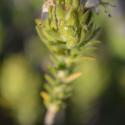 Img.VTax4855.Ex1.Ex1.Img10