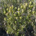 Img.VTax4855.Ex1.Ex1.Img18