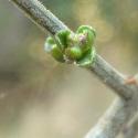 Img.VTax574.Ex1.Img8