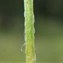 Img.VTax635.Ex1.Img6