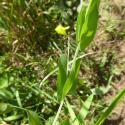 Img.VTax678.Ex1.Img1