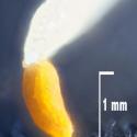 Img.VTax680.Ex3.Img10