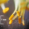 Img.VTax686.Ex4.Img9