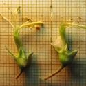 Img.VTax693.Ex3.Img9