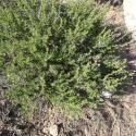 Img.VTax712.Ex1.Img1