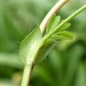 Img.VTax775.Ex1.Img5