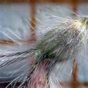 Img.VTax800.Ex2.Img1