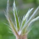 Img.VTax802.Ex1.Img6