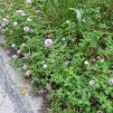 Img.VTax818.Ex1.Img1