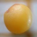 Img.VTax833.Ex1.Img1