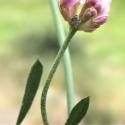 Img.VTax846.Ex1.Img3