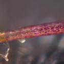Img.VTax881.Ex1.Img7