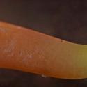 Img.VTax894.Ex3.Img4