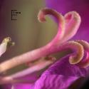 Img.VTax904.Ex2.Img5