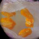 Img.VTax928.Ex4.Img6