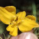 Img.VTax964.Ex1.Img6