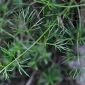 Img.Vtax1539.Ex3.Img5