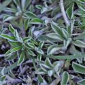Img.VTax3035.Ex5.Img7