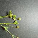 VTax1936.Ex1.Img3