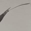VTax4060.Ex1.Img2