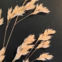 VTax4060.Ex1.Img3